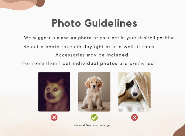 Custom Pet Portraits Using Pet Photo